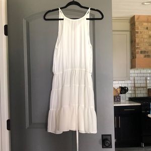 Bachelorette/Bridal Shower Naked Zebra Dress
